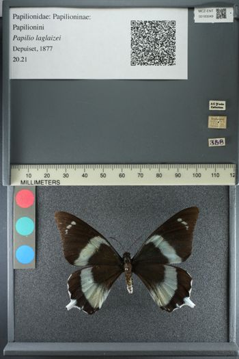 Media type: image;   Entomology 183049